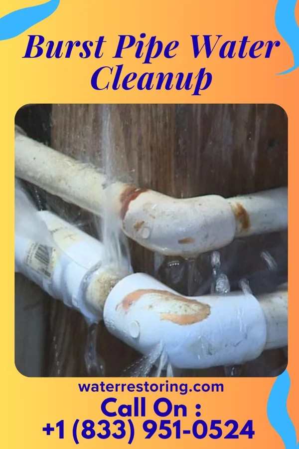 Burst Pipe Water Cleanup in Roland, OK